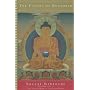 The Future of Buddhism