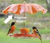 Oriole Weather Guard