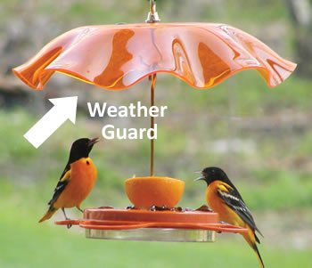 Oriole Weather Guard