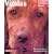 Vizslas (Complete Pet Owner's Manual)