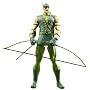 Identity Crisis Action Figure Series 1: Green Arrow