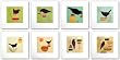 Birds Set (Eight Prints) by Amy Ruppel 6"x6" Art Print Poster