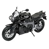 スカイネット 1/12 完成品バイク BMW K1300R (ブラック)