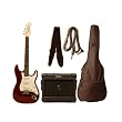 Austin Bazaar Double Cutaway Transparent Red Electric Guitar with 5 Watt Amp - Beginner Kit