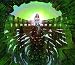 Classical Music : Kashmir: The Symphonic Led Zeppelin