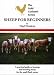 Sheep for Beginners (Gold Cockerel)