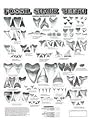 Fossil Shark Tooth Poster