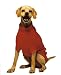 Fashion Pet Classic Medium Cable Dog Sweater, Red