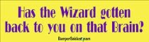 Has the wizard gotten back to you on that brain? - funny bumper stickers (Medium 10x2.8 in.)
