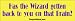 Has the wizard gotten back to you on that brain? - funny bumper stickers (Medium)