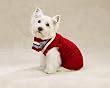 RED - MEDIUM - Cable Knit Varsity Dog Sweater Set
