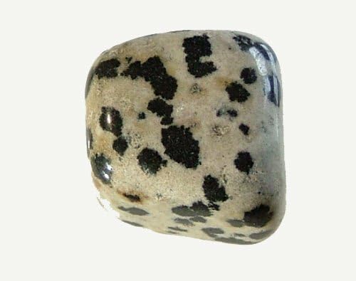 Dalmation Jasper TumbleStone Single Stone by Crystals and Gems