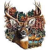 10 Point Buck Adult T-Shirt
