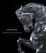 Book Untamed: The Art of Antoine-louis Barye