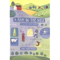 Ram in the Well