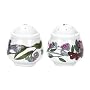 Portmeirion Botanic Garden Salt and Pepper Set