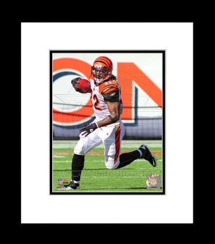 Cincinnati Bengals Cedric Benson 2011 Action Framed Picture 8x10