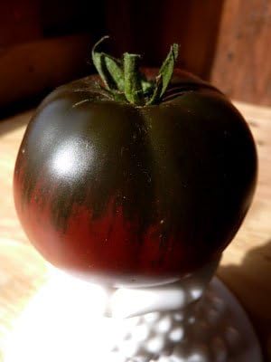 Organic Black Seaman Tomato Seed