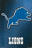 Detroit Lions Poster Print, 22x34