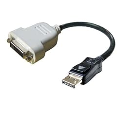 Badboyz Premium Range Dell DisplayPort-auf-DVI - D Kabel Konverter