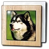 Review 3dRose LLC  / Alaska Malamute Dog - 6 Inch Tile Napkin Holder