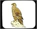 Mouse Pad with falcon, gold, eagle, hawk, bird Image