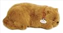 Perfect Petzzz PP91-21BV6 Pomeranian