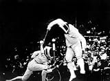 Fencing Poster 5