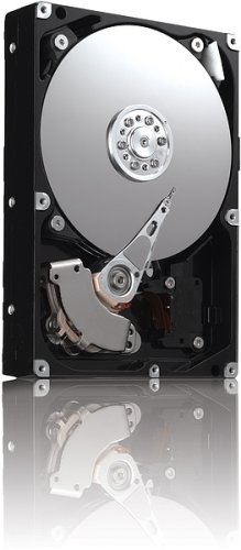 Datalux DLX-1635 Festplatte 160GB 3,5 Zoll 7200rpm