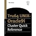 Oracle Cluster und Standby Datenbanken