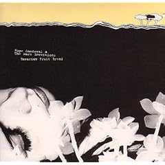 Hope sandoval & the warm inven