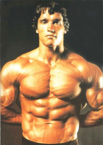 arnold schwarzenegger workout photos. arnold schwarzenegger workout