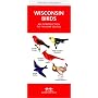 Wisconsin Birds: An Introduction to Familiar Species (State Nature Guides)