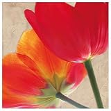 Joy II Floral & Botanical Art Poster Print by S. G. Rose, 13x13