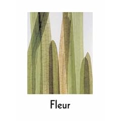 Fleur: Plant Portraits