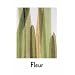 Fleur: Plant Portraits