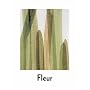 Fleur: Plant Portraits