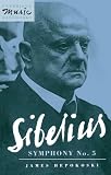 Sibelius: Symphony No. 5 (Cambridge Music Handbooks)