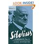 Sibelius: Symphony No. 5 (Cambridge Music Handbooks)