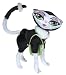 Bratz Petz Catz - Jolie Image
