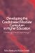 Book Developing The Credit-Based Modular Curriculum in Higher Education: Challenge, Choice and Change