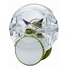 Garlic Zoom (Original) (Colours May Vary)