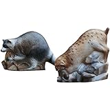 McKenzie Rock Rascals Bobcat Target