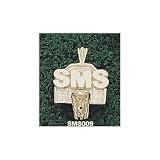 Missouri State Bears Solid 10K Gold ''SMS'' Backboard Pendant