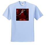 Doreen Erhardt Ballet - Ballerina on Stage with Red Theater Curtain Spot Light and Sparkles. - T-Shirts - Youth Light-Blue-T-Shirt Med(10-12)