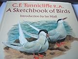 A sketchbook of birds