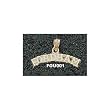 Fordham Univ Arched "Fordham" Charm/Pendant