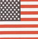 US American Flag Bandana