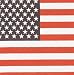 US American Flag Bandana