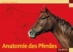 Anatomie des Pferdes.